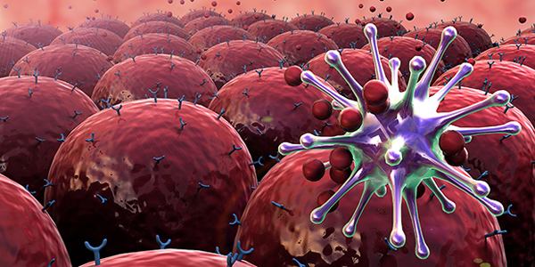 Fitoterapi İle Kanser Hastalıkları Tedavisi